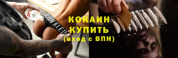 МДПВ Нея