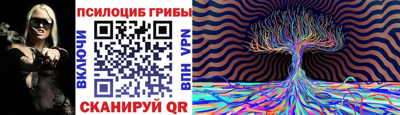 Псилоцибиновые грибы мицелий сайты даркнета официальный сайт Новое Девяткино где продают